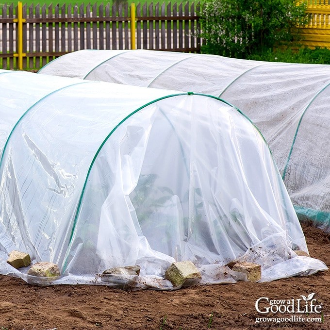 Schützen Sie Ihren Garten:6 wirksame Frostschutzmethoden 