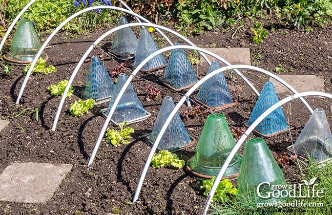 Schützen Sie Ihren Garten:6 wirksame Frostschutzmethoden 