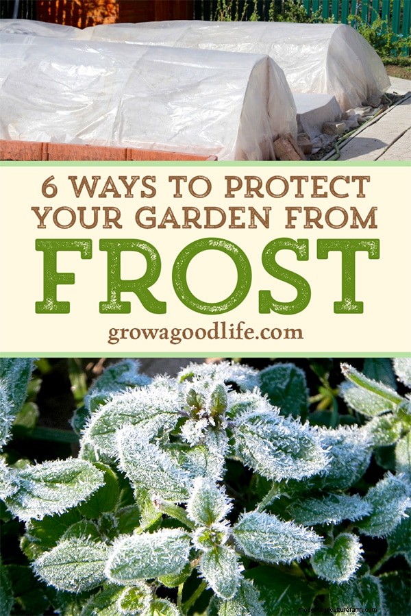 Schützen Sie Ihren Garten:6 wirksame Frostschutzmethoden 