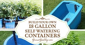 Top-Gartenartikel 2014 | Bauen Sie ein gutes Leben auf 