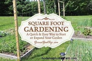 Top-Gartenartikel 2014 | Bauen Sie ein gutes Leben auf 