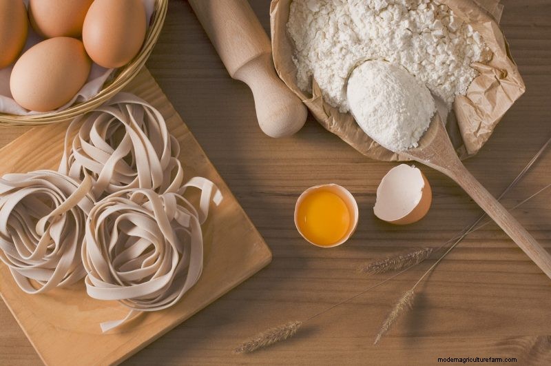 Coltiva il tuo:10 varietà di cereali facili da coltivare per i giardini domestici 