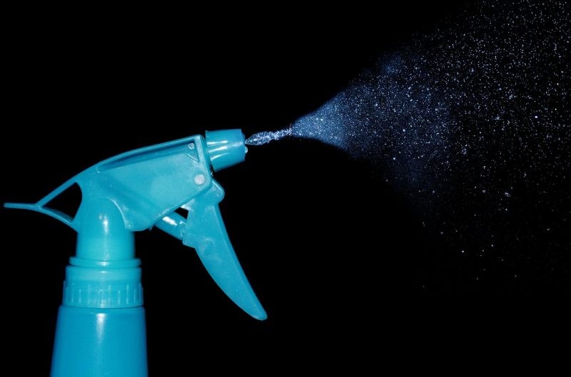 Natuurlijke schoonmaakoplossingen:8 tuinkruiden voor doe-het-zelf-schoonmaakmiddelen 