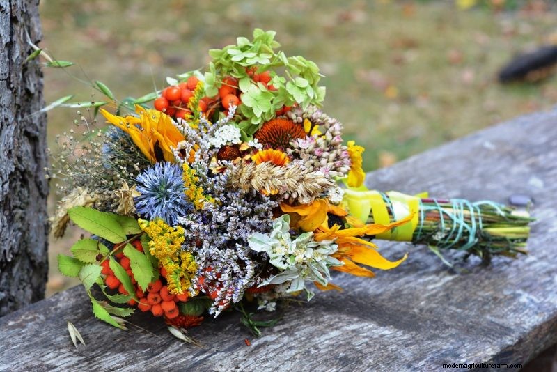 Buquê de noiva DIY exclusivo:arranjos de vegetais e ervas 
