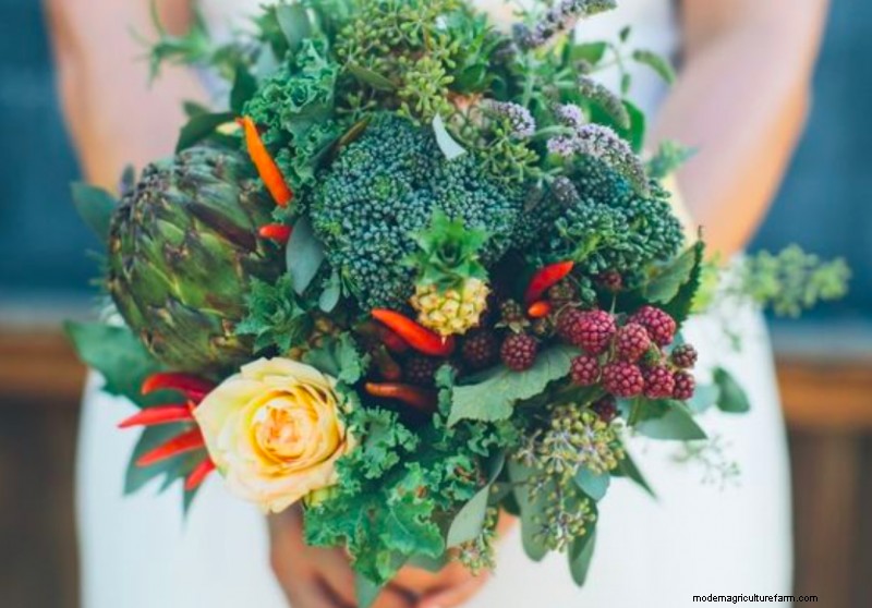 Buquê de noiva DIY exclusivo:arranjos de vegetais e ervas 