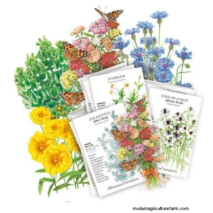 毎年の開花時期を延長する:継続的な夏の庭のための専門家のヒント 
