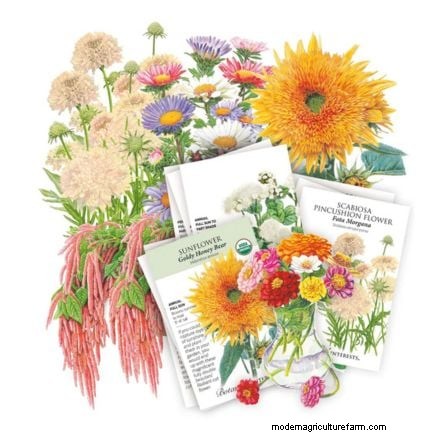 毎年の開花時期を延長する:継続的な夏の庭のための専門家のヒント 