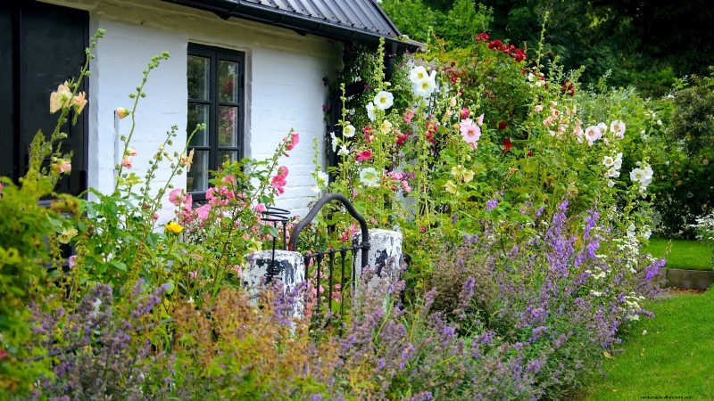 Shady Cottage Gardens:een stapsgewijze handleiding voor kweken in de schaduw 
