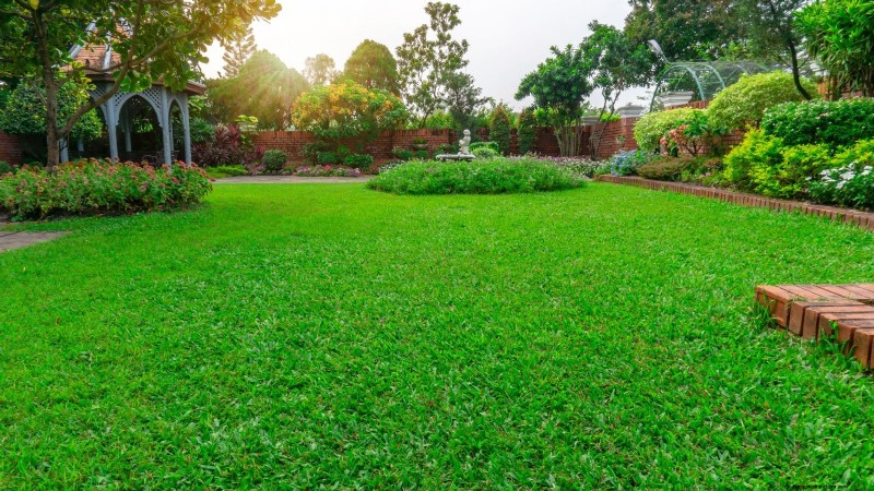 Shady Cottage Gardens:een stapsgewijze handleiding voor kweken in de schaduw 