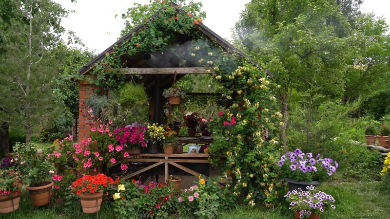 Shady Cottage Gardens:een stapsgewijze handleiding voor kweken in de schaduw 
