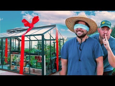Shady Cottage Gardens:een stapsgewijze handleiding voor kweken in de schaduw 