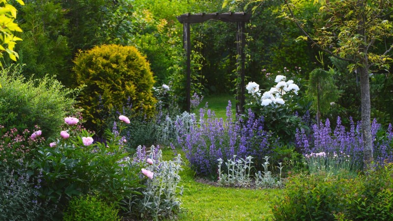 Shady Cottage Gardens:een stapsgewijze handleiding voor kweken in de schaduw 
