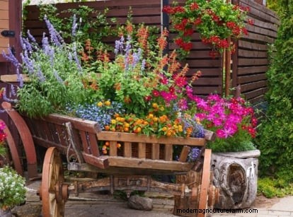 Shady Cottage Gardens:een stapsgewijze handleiding voor kweken in de schaduw 