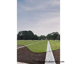 Atlantis Turf Cell®:wortelversterking en beluchting voor gezonde gazons 