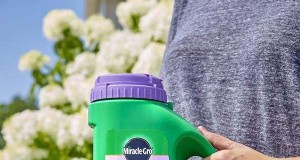 Bougainvillea-meststoffengids:stimuleer bloei en groei 
