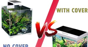 Aquariumdeksels:voordelen, nadelen en of u er een nodig heeft 