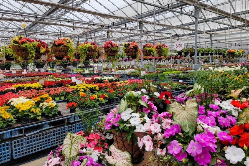 Evita questi errori comuni nel tuo Garden Center locale 
