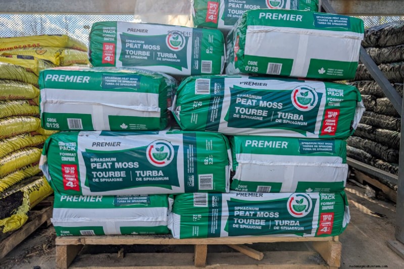 Evita questi errori comuni nel tuo Garden Center locale 