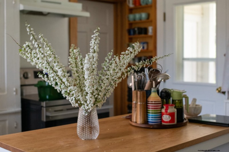 Cura della ghirlanda nuziale Spirea:consigli essenziali per uno splendido giardino 