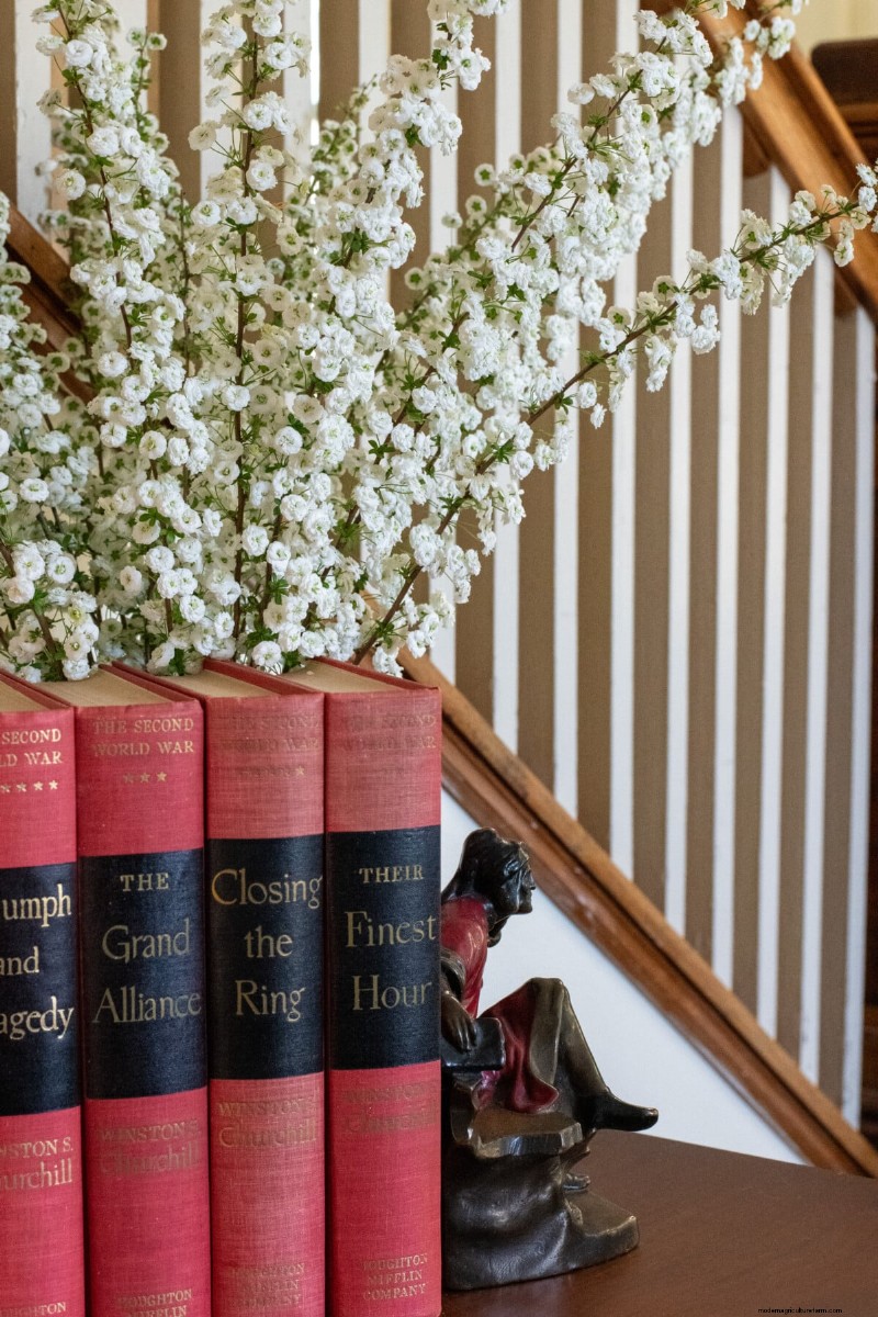 Cura della ghirlanda nuziale Spirea:consigli essenziali per uno splendido giardino 