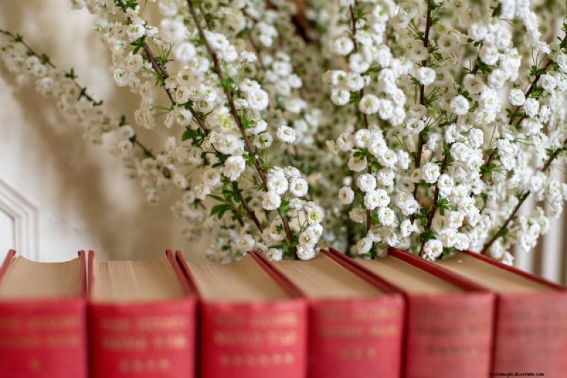 Cura della ghirlanda nuziale Spirea:consigli essenziali per uno splendido giardino 