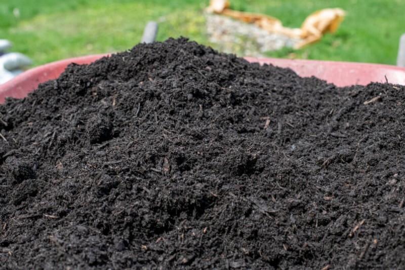Schützen Sie Ihren Garten:Strategien zur Schädlingsprävention im Frühjahr 