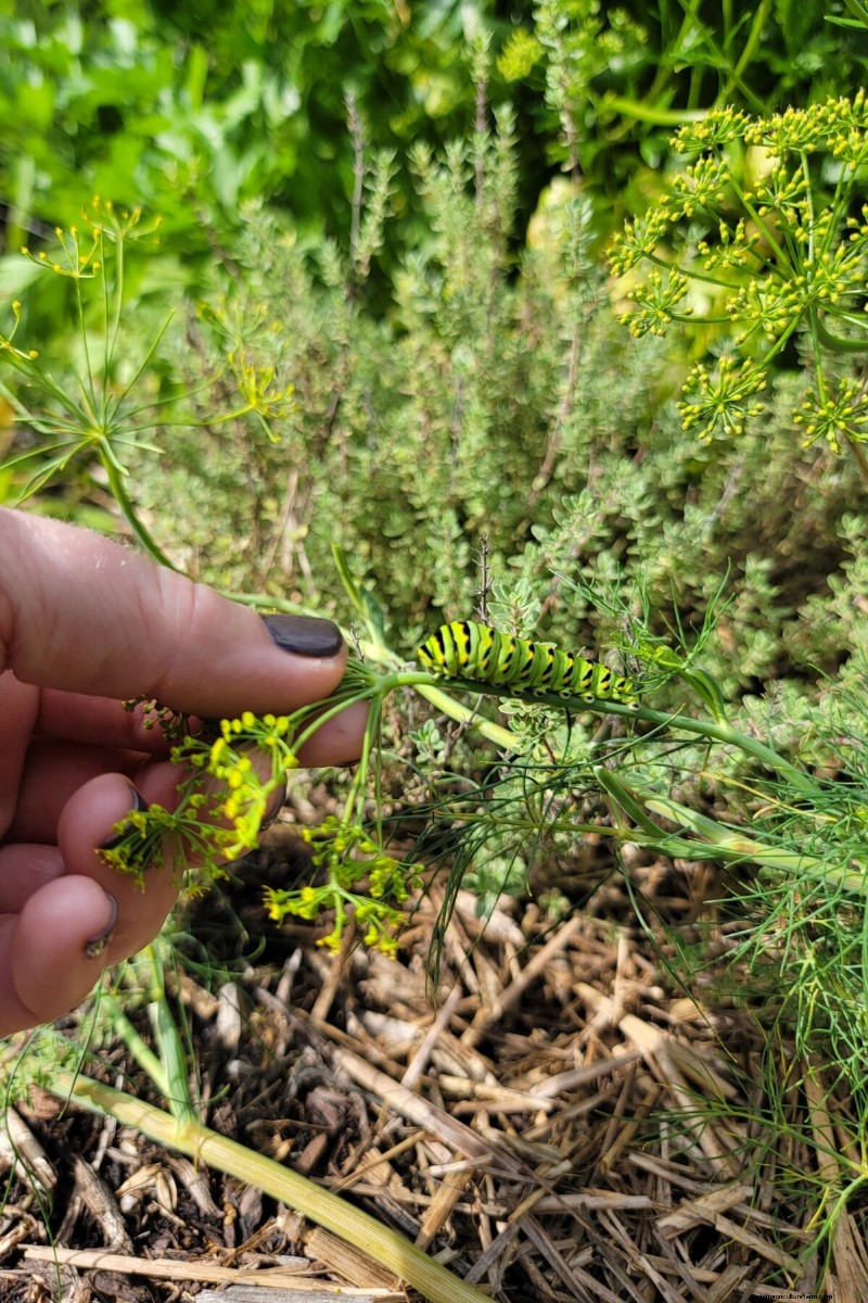 Schützen Sie Ihren Garten:Strategien zur Schädlingsprävention im Frühjahr 