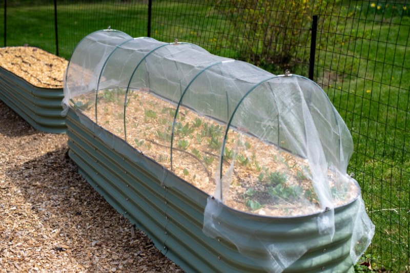 Schützen Sie Ihren Garten:Strategien zur Schädlingsprävention im Frühjahr 