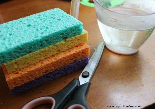 Resep Nektar Kupu-Kupu DIY:Menarik Kupu-Kupu ke Taman Anda 