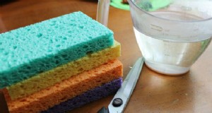 Ricetta del nettare di farfalla fai da te:attira le farfalle nel tuo giardino 