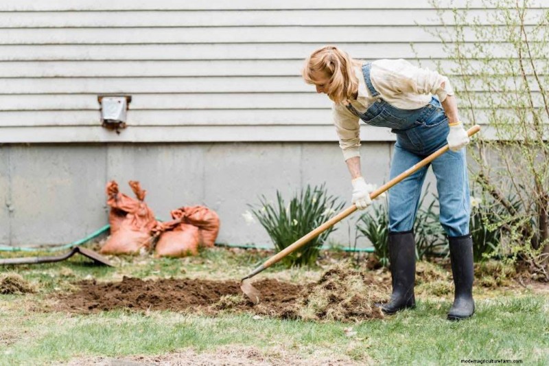 Berkebun Berkelanjutan:Tumbuh Lebih Banyak dengan Praktik Ramah Lingkungan 