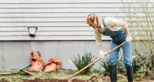 Berkebun Berkelanjutan:Tumbuh Lebih Banyak dengan Praktik Ramah Lingkungan 