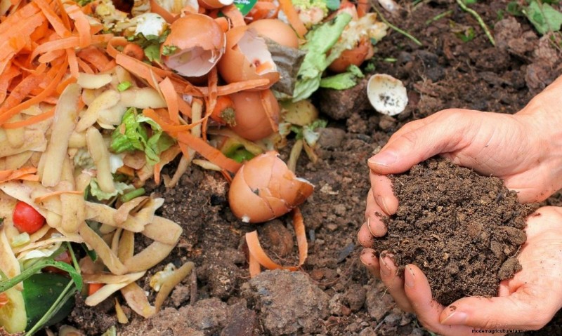 Berkebun Berkelanjutan:Tumbuh Lebih Banyak dengan Praktik Ramah Lingkungan 