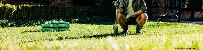 Prepara il tuo prato per il successo:una guida completa 