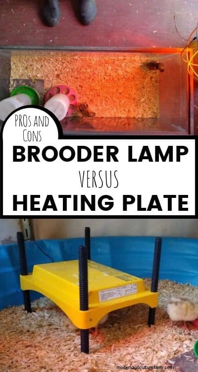 Warmteplaten versus warmtelampen voor broedmachines:een uitgebreide vergelijking 