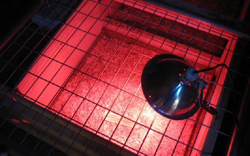 Warmteplaten versus warmtelampen voor broedmachines:een uitgebreide vergelijking 