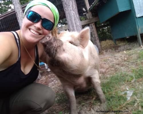 Raising &Processing Pigs:A Farmer s Reflection 
