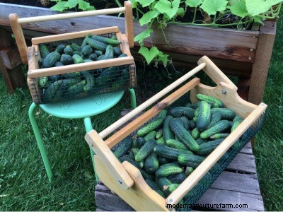 Le migliori idee regalo per proprietari di case e agricoltori per hobby - 2024 