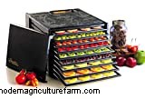Le migliori idee regalo per proprietari di case e agricoltori per hobby - 2024 