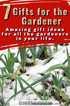 Idee regalo uniche per giardinieri:coltiva la gioia in questa stagione 