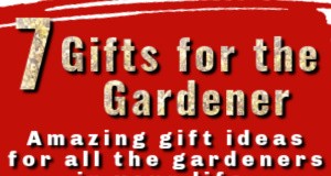 Idee regalo uniche per giardinieri:coltiva la gioia in questa stagione 