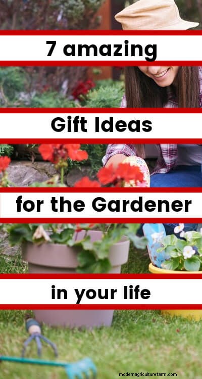 Idee regalo uniche per giardinieri:coltiva la gioia in questa stagione 