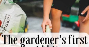 Unverzichtbares Erste-Hilfe-Set für Gärtner:14 unverzichtbare Werkzeuge 