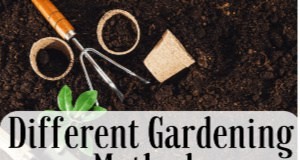 13 metodi di giardinaggio per principianti:scegli il meglio per il tuo spazio 