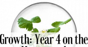 Crecimiento de Homestead:reflexionando sobre el año 4 y los planes futuros 