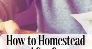 Kosteneinsparungen bei Homestead:8 bewährte Möglichkeiten zur Kostensenkung 