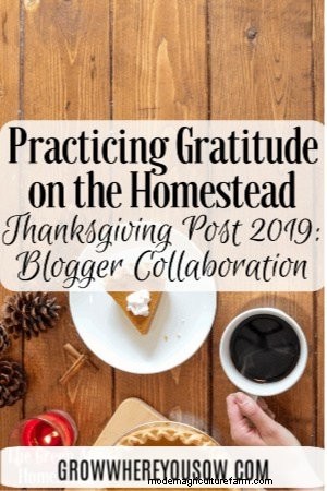 Gratitud de Homesteading:citas de la comunidad de Homesteading 