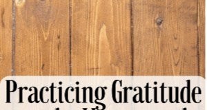 Syukur Homesteading:Kutipan dari Komunitas Homesteading 