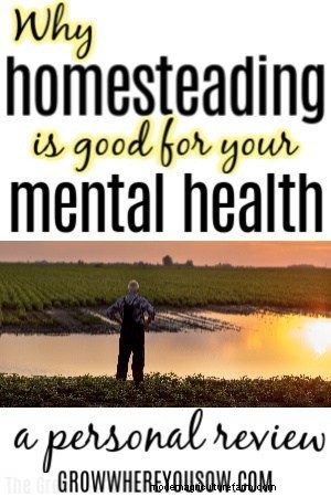 Psychisches Wohlbefinden durch Homesteading finden:Eine persönliche Perspektive 
