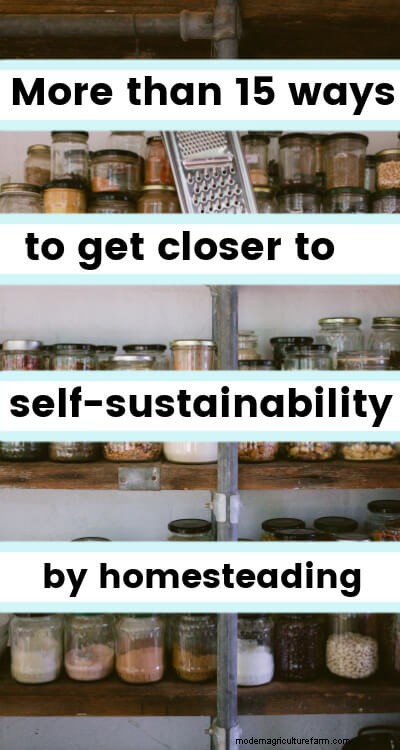 19 passi pratici verso l autosostenibilità per gli homesteader 